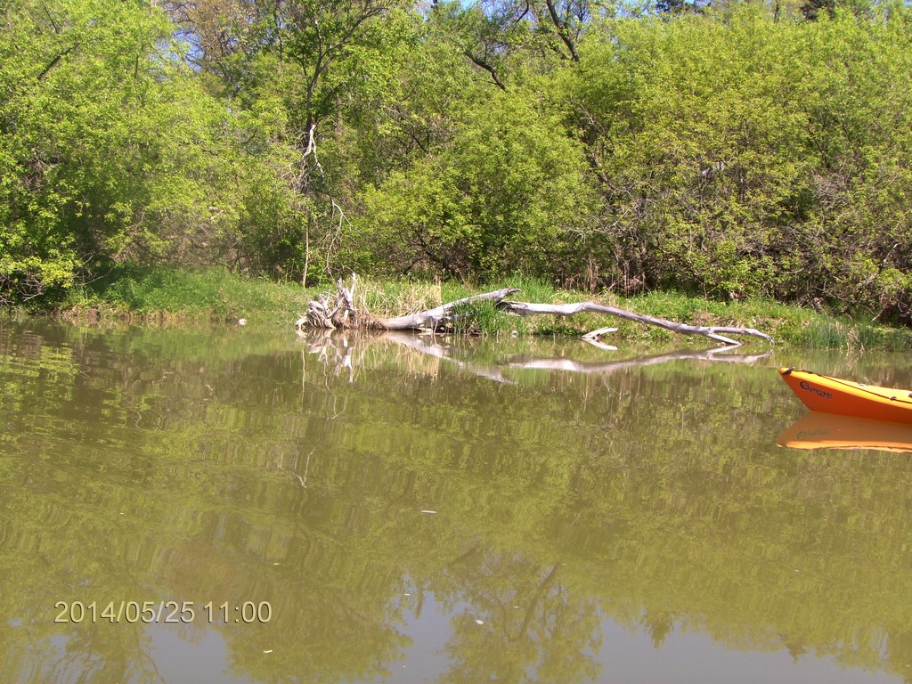 Christopher Greaves Rouge River_HPIM7296.JPG